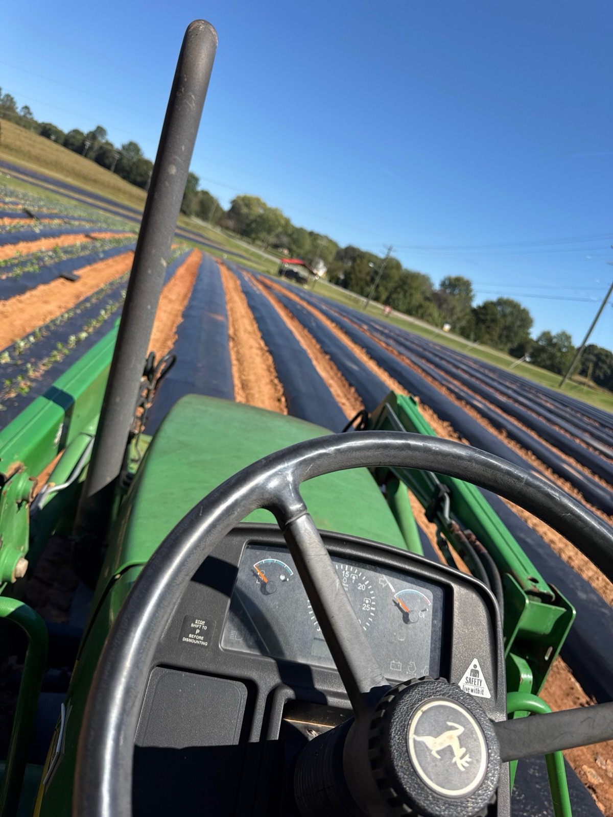 View from a tractor across prepared strawberry rows on the Jones family farm