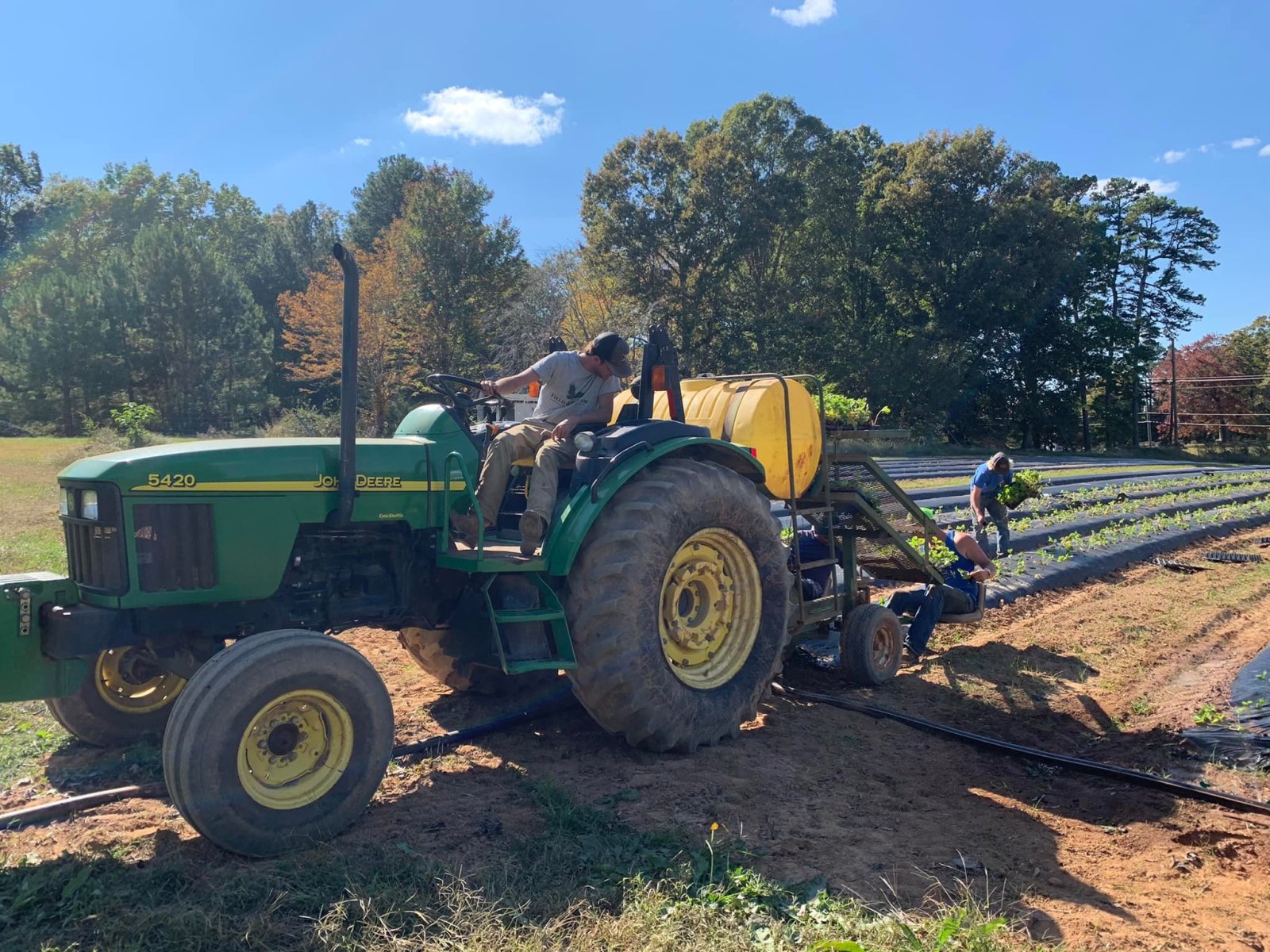 A tractor and farm team working rows at Jones Strawberry Farm